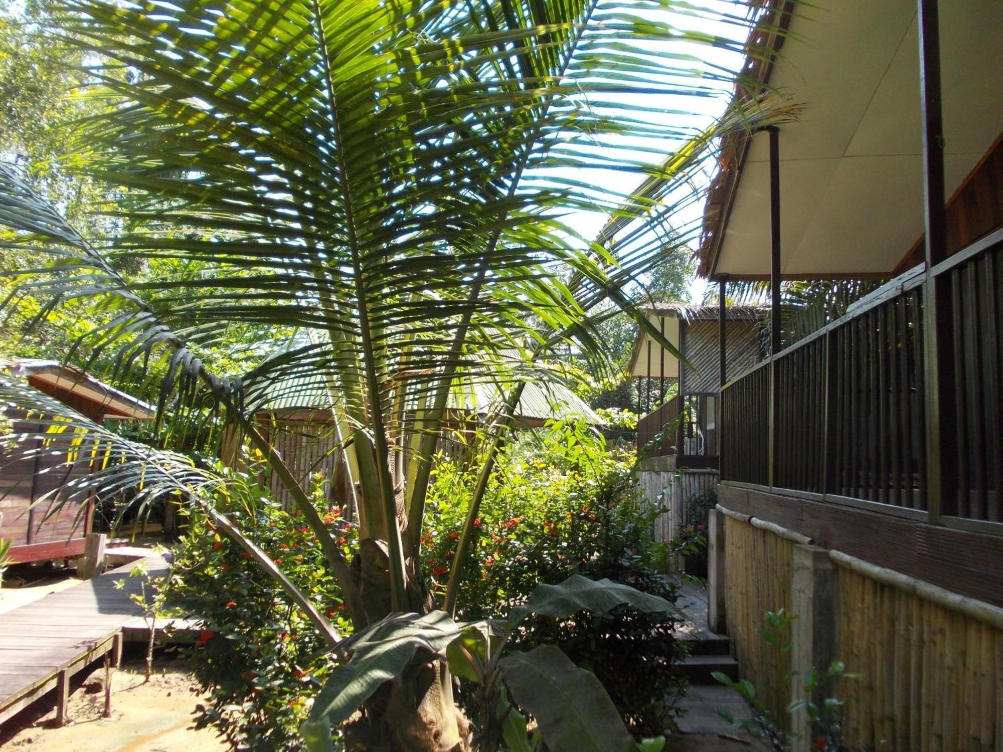 Hotel Restaurant Gites Kribi Exterior photo